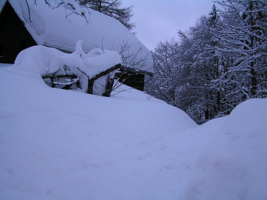 Na Slunecni Pohadkova Chaloupka Ve Sladke Dire Příchovice المظهر الخارجي الصورة